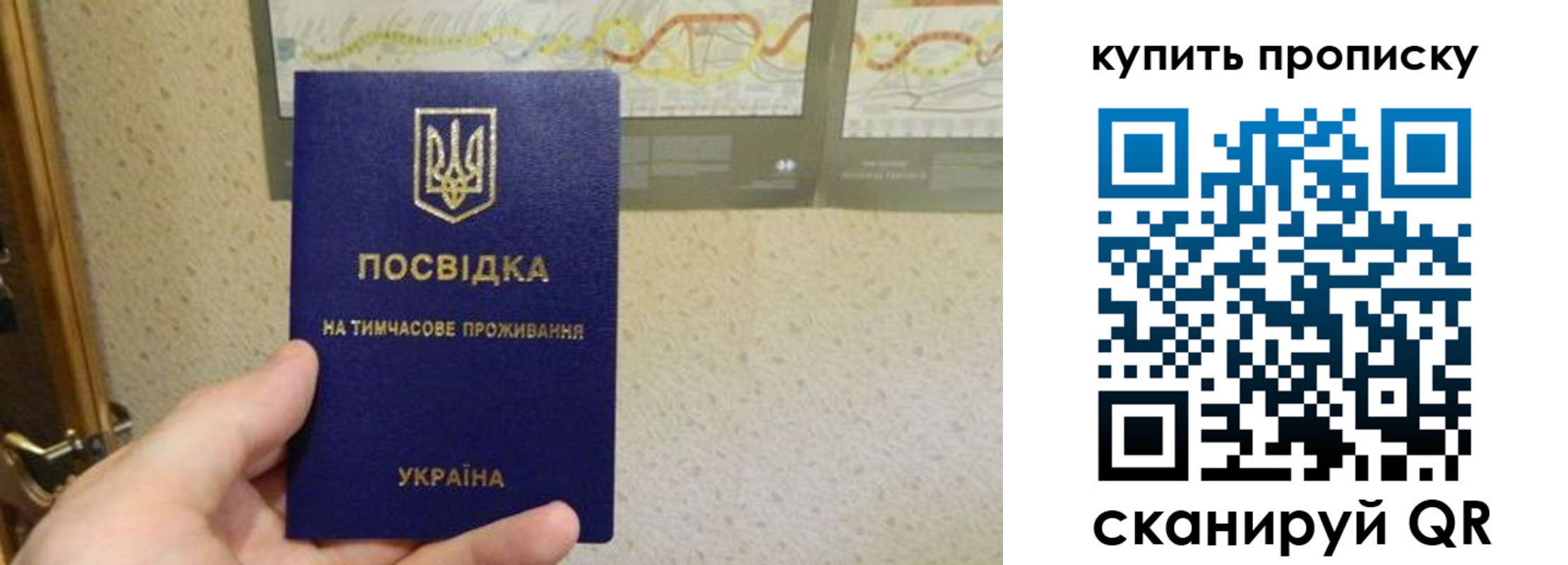 временная регистрация поиск в Спасске-Дальнем